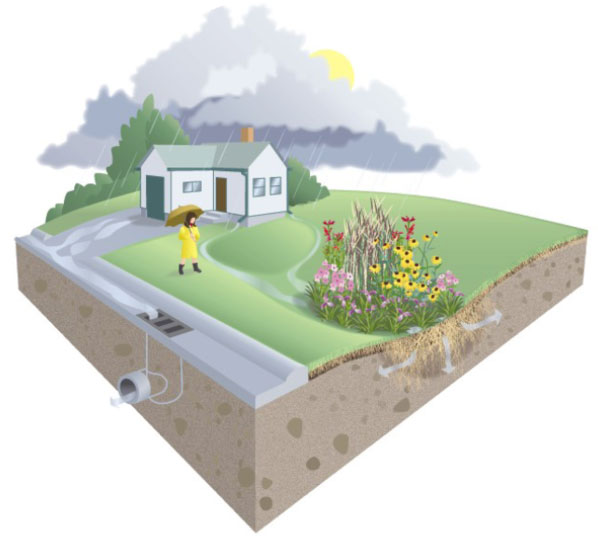 diagram of where to plant a rain garden and how it affects the area